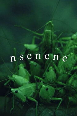 Nsenene (2021)