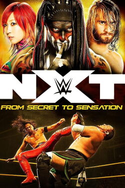 NXT: From Secret to Sensation (2017)