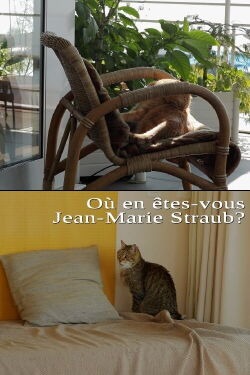 Où en êtes-vous, Jean-Marie Straub ? (2016)
