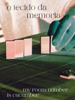 O tecido da memoria (My room number is cucumber) (2023)