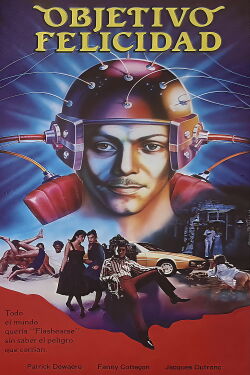 Objetivo felicidad (1982)