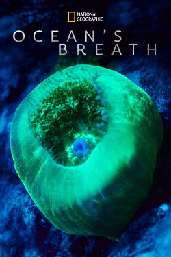 Ocean’s Breath (2019)