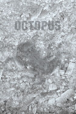 Octopus (2021)