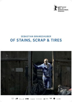 Of Stains, Scrap & Tires (2014)
