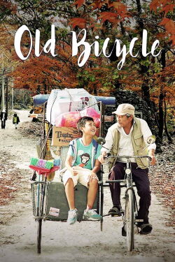 Old Bicycle (2015)