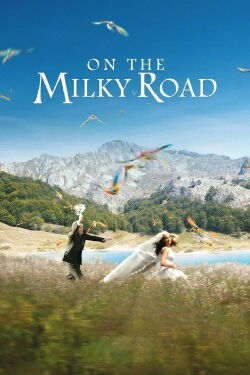 On the Milky Road (2016)