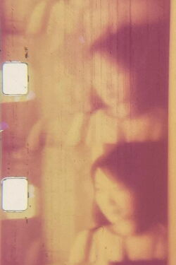 On The Shore (2011)