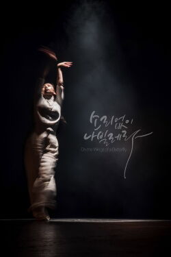 On the Wings of a Butterfly (2026)