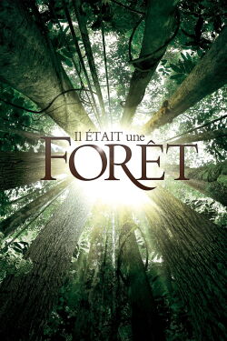 Once Upon a Forest (2013)