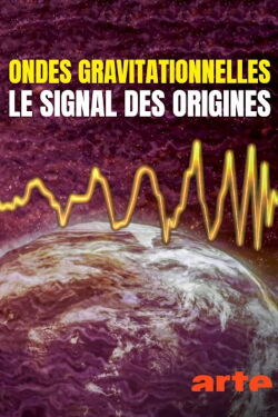Ondes gravitationnelles : le signal des origines (2019)