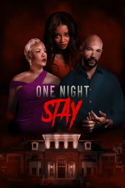 One Night Stay (2024)