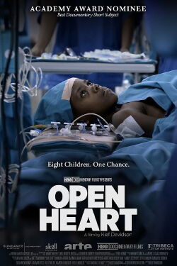 Open Heart (2013)