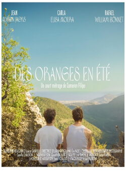 Oranges in Summer (2024)