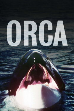 Orca : La baleine meurtrière (1977)