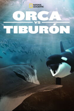 Orca Vs Great White (2021)