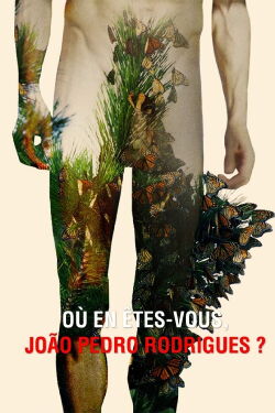 Où en êtes-vous, João Pedro Rodrigues ? (2016)