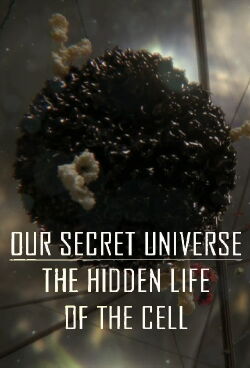 Our Secret Universe: The Hidden Life of the Cell (2012)