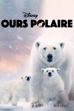 Ours polaire (2022)