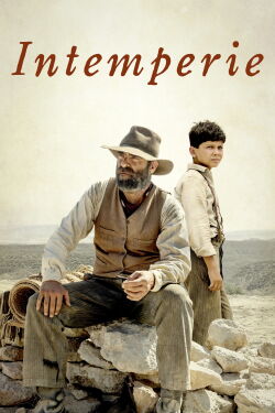 Out in the Open (2019)