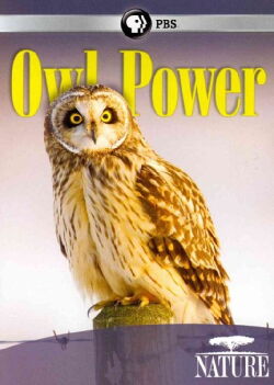 Owl Power (2015)