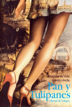 Pan y tulipanes (2000)