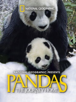Pandas: El camino a casa (2014)