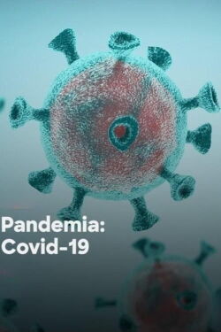 Pandemia: COVID-19 (2020)