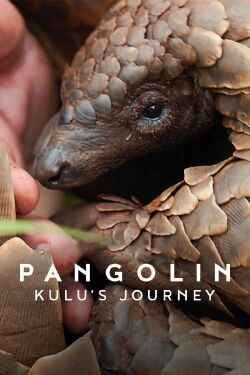 Pangolin : Chemins de vie (2025)
