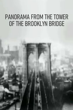 Panorama from the Tower of the Brooklyn Bridge (1899)
