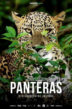 Panteras: viviendo entre felinos (2021)