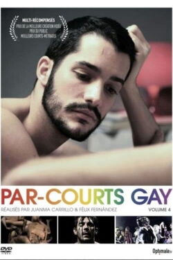 Par-courts Gay, Volume 4 (2015)