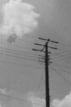 Parallax (1975)