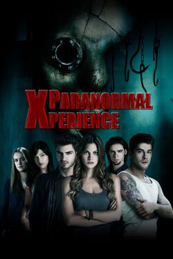 Paranormal Experience (2011)