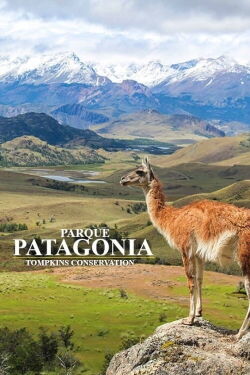 Parque Patagonia (2017)