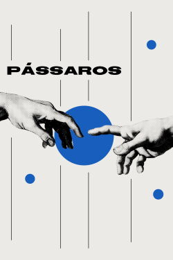 Pássaros (2019)