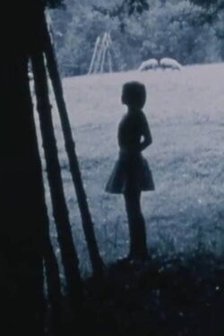 Passing Through/Torn Formations (1988)