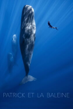 Patrick et la baleine (2024)