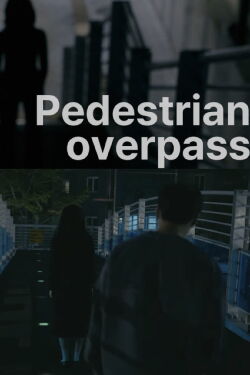 Pedestrian overpass (2023)