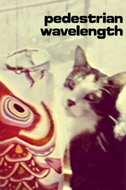 Pedestrian Wavelength (1979)