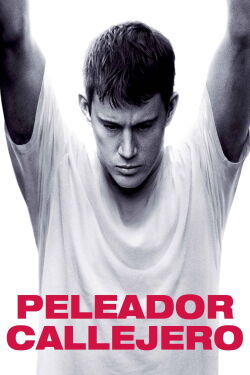 Peleador Callejero (2009)
