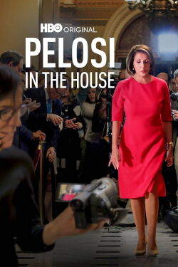 Pelosi en la Cámara (2022)