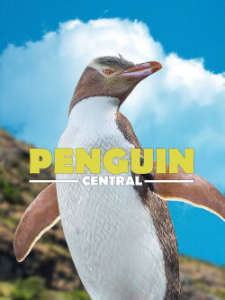 Penguin Central (2019)