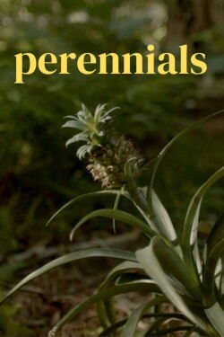 perennials (2022)