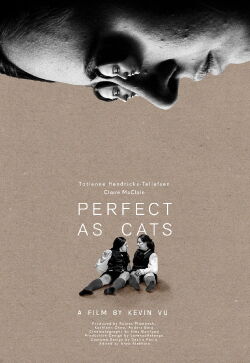Perfect as Cats (2020)