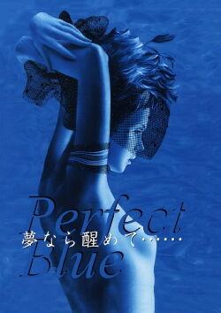 Perfect Blue (2002)