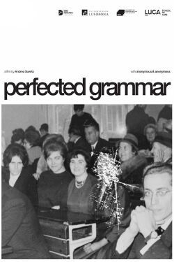 Perfected Grammar (2024)