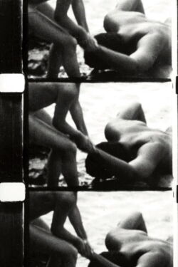 Perforce (1968)