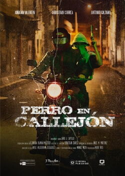 Perro en callejón (2023)