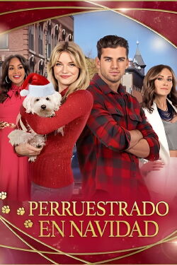 Perruestrado en Navidad (2022)