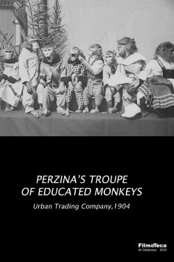Perzina's Troupe of Educated Monkeys (1904)